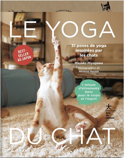 Le Yoga du Chat